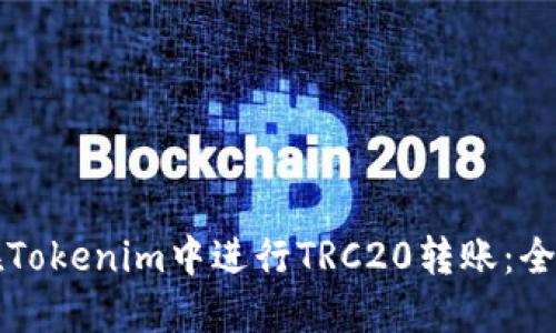 如何在Tokenim中进行TRC20转账：全面指南