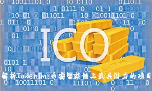 深入解析Tokenim：币安智能链上最具潜力的项目之一