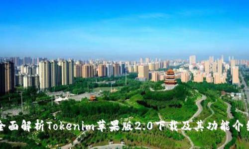 全面解析Tokenim苹果版2.0下载及其功能介绍