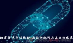 加密数字货币市值维护：面临的挑战与未来的发