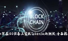 如何在iOS设备上实现Tokenim的测试：全面指南