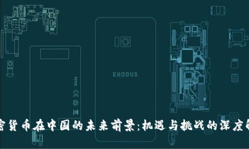 加密货币在中国的未来前景：机遇与挑战的深度解析