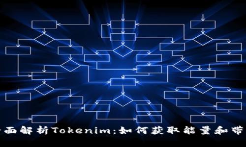 全面解析Tokenim：如何获取能量和带宽