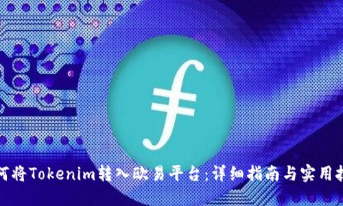 如何将Tokenim转入欧易平台：详细指南与实用技巧