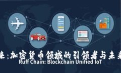 赵泰来：加密货币领域的引领者与未来展望