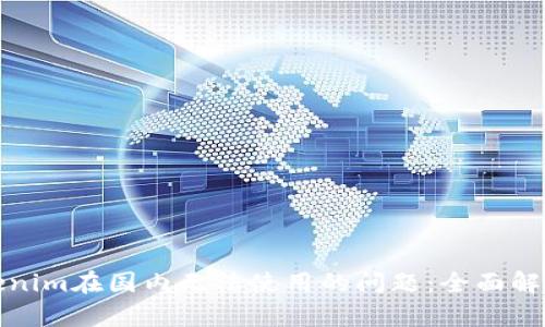 如何解决Tokenim在国内无法使用的问题：全面解析及解决方案