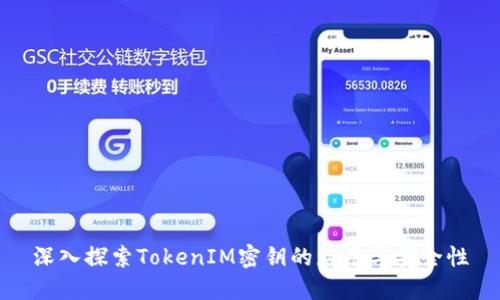 深入探索TokenIM密钥的应用与安全性