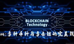 探索Tokenim：多种币种与多条链的完美钱包解决方