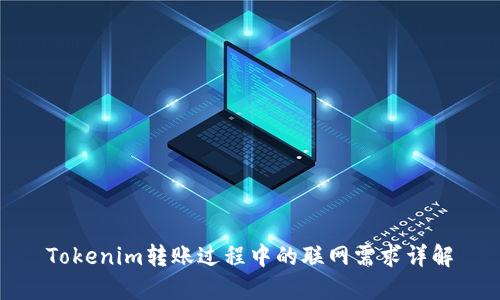 Tokenim转账过程中的联网需求详解