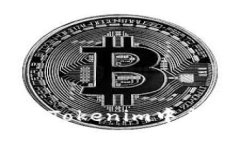 全面指南：如何在Tokenim中成功导入您的钱包