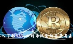 深入了解BSV：比特币现金的愿景与未来