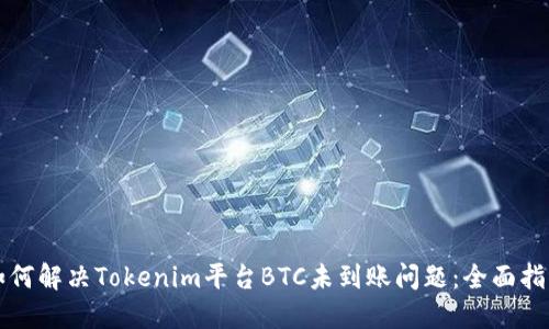 如何解决Tokenim平台BTC未到账问题：全面指南