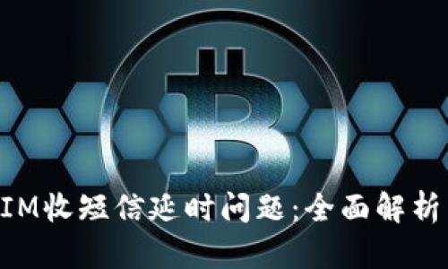 如何TokenIM收短信延时问题：全面解析与解决方案