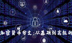 全面解析加密货币分支：从基础到高级的终极指