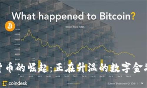 加密货币的崛起：正在升温的数字金融革命