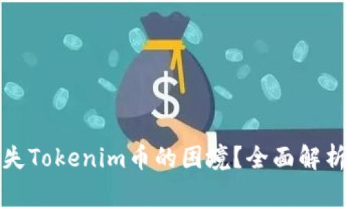 如何应对丢失Tokenim币的困境？全面解析与解决方案