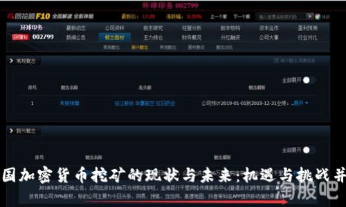 美国加密货币挖矿的现状与未来：机遇与挑战并存