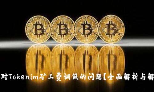 如何应对Tokenim矿工费调低的问题？全面解析与解决方案