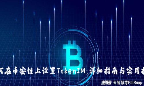 如何在币安链上设置TokenIM：详细指南与实用技巧