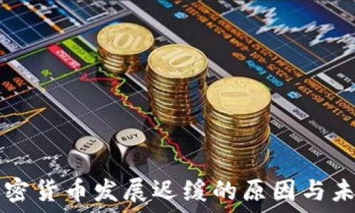   
中国加密货币发展迟缓的原因与未来展望