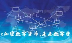 探索Elastic加密数字货币：未来数字资产的新纪元