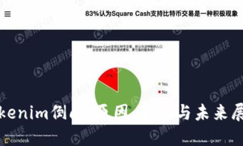 Tokenim倒闭：原因、影响与未来展望