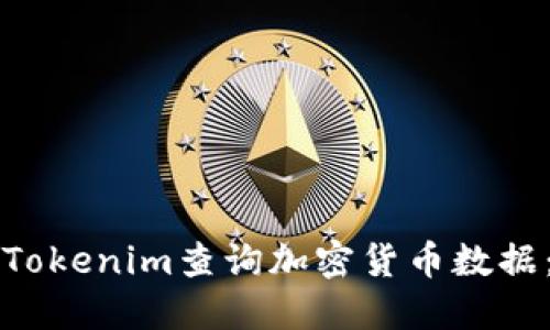 如何使用Tokenim查询加密货币数据：全面指南