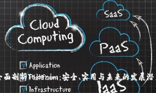 全面剖析Tokenim：安全、实用与未来的发展潜力