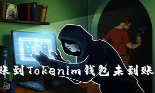 如何解决货币转账到Tokenim钱包未到账的问题：全面指南