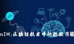 深入探讨TokenIM：区块链技术中的数据传输路径及