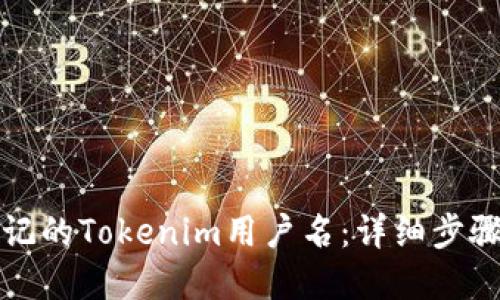 如何找回忘记的Tokenim用户名：详细步骤和解决方案