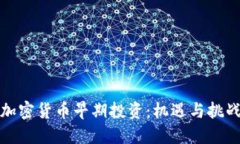 加密货币早期投资：机遇与挑战