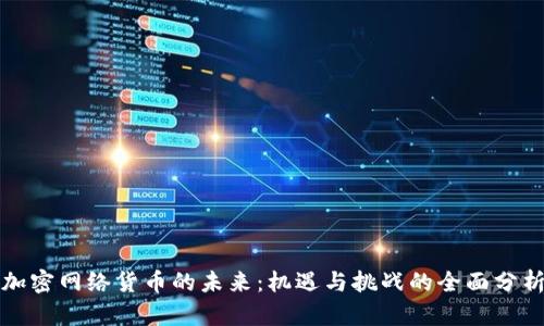 加密网络货币的未来：机遇与挑战的全面分析