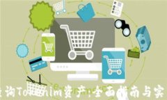 如何查询Tokenim资产：全面指南与实用技巧