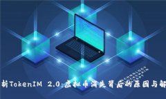 深入解析TokenIM 2.0：虚拟币消失背后的原因与解决