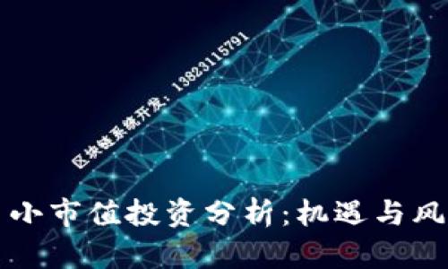全球加密货币小市值投资分析：机遇与风险的全面探索