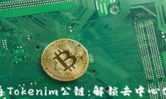 深入剖析链通Tokenim公链：解锁去中心化未来的关