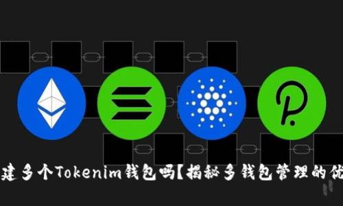 一个人可以创建多个Tokenim钱包吗？揭秘多钱包管理的优势与注意事项