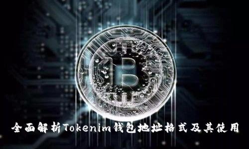 全面解析Tokenim钱包地址格式及其使用