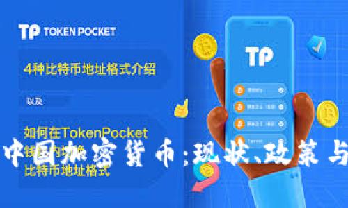 深入了解中国加密货币：现状、政策与未来发展