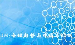 TokenIM：全球趋势与中国市场的交汇点