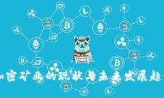 美国货币加密矿业的现状与未来发展趋势全面解