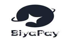 Tokenim: 如何解决无法搜到任何币的问题及其原因