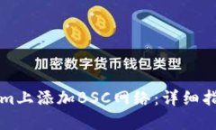 如何在Tokenim上添加BSC网络：详细指南与步骤解析