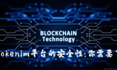 深入分析Tokenim平台的安全性：你需要了解的一切