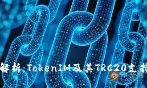 全面解析：TokenIM及其TRC20支持功能