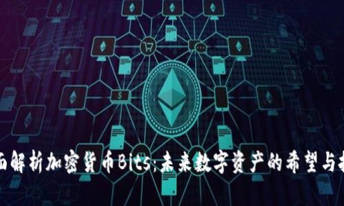 全面解析加密货币Bits：未来数字资产的希望与挑战
